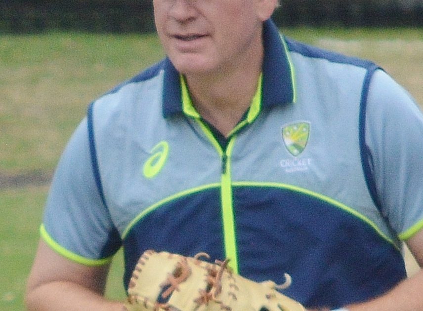 Cricket (representative image)