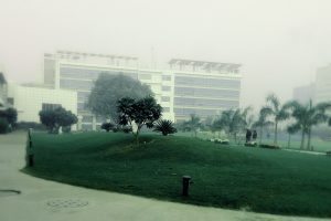 HCL office (representative image)