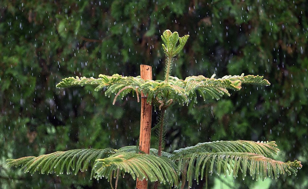 Delhi’s record monsoon rain is a live stress test for airline ops resilience