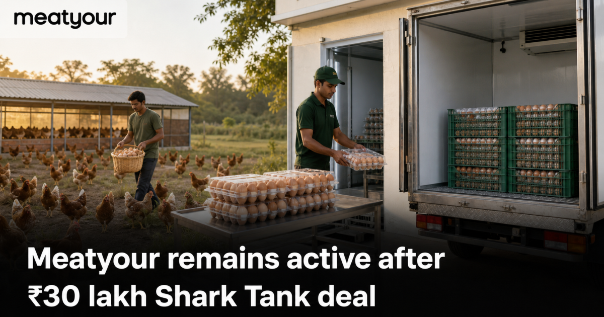 Egg production progressing from a free-range farm to chilled distribution