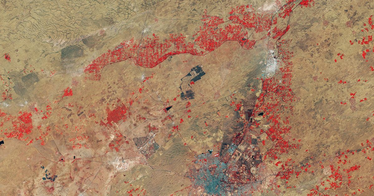 What a drought declaration actually changes for a farmer
