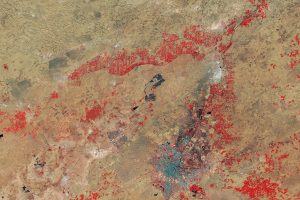What a drought declaration actually changes for a farmer