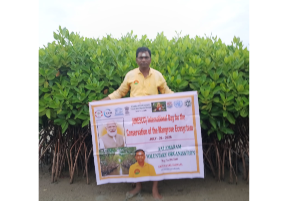 Mangrove Ecosystems: Nature’s Living Shield Against Climate Change and Coastal Disasters