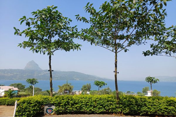 Planning for 2027 now: why Maharashtra is cutting water in October