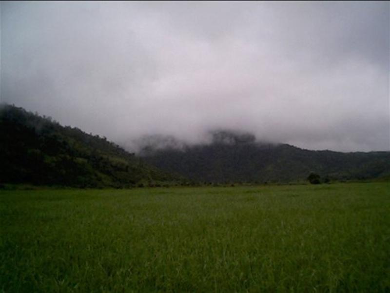 Beyond the toll: Why Manipur’s hill clashes keep returning
